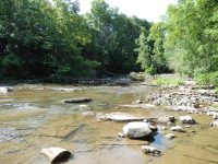 HONEOYE LOWER FALLS MONROE COUNTY WESTERN NEW YORK 8-12-2013_00003.JPG