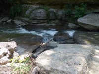 HONEOYE LOWER FALLS MONROE COUNTY WESTERN NEW YORK 8-12-2013_00007.JPG