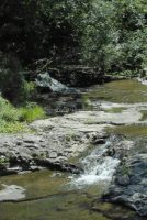 ALCOVE FALLS ALBANY COUNTY EASTERN NEW YORK 8-17-2013_00008.JPG