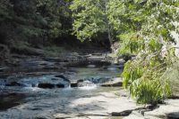 EAST DURHAM (FALLS IN) GREEN COUNTY SOUTHERN NEW YORK 8-17-2013_00005.JPG